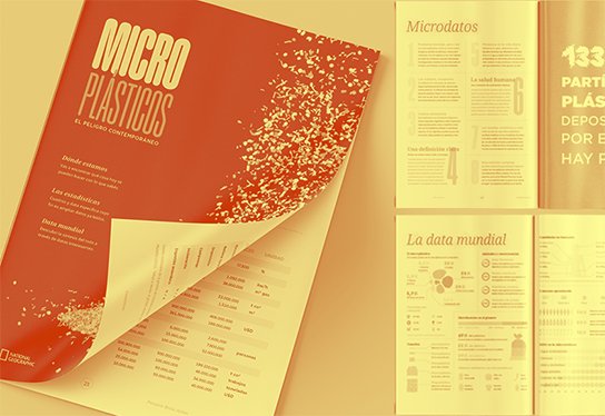 Proyecto